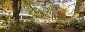 Shasta Community College campus photo, courtesy of Shasta College